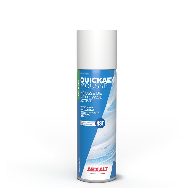 Nettoyant antimousse TT toiture et terrasse Aexalt AM402 6560720 - Anti- mousse Aexalt 