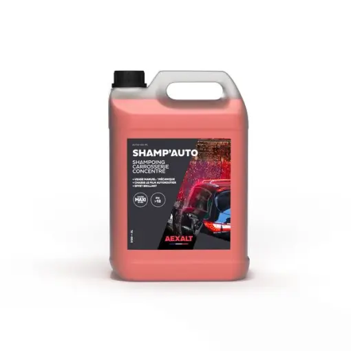 SHAMP'AUTO