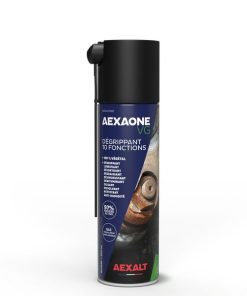 AEXAONE VG
