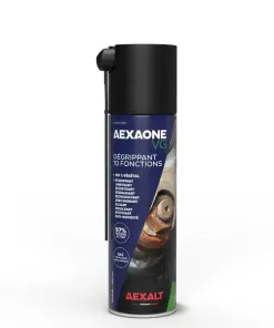 AEXAONE VG