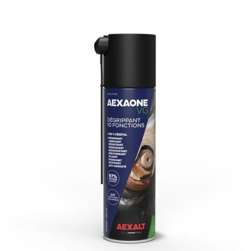AEXAONE VG